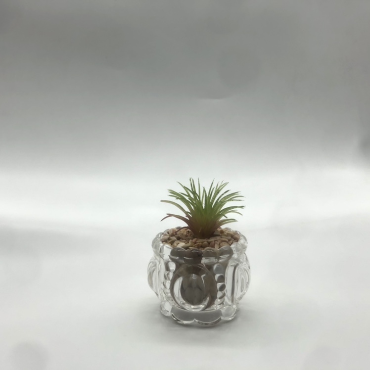 玻璃假多肉植物花盆摆件