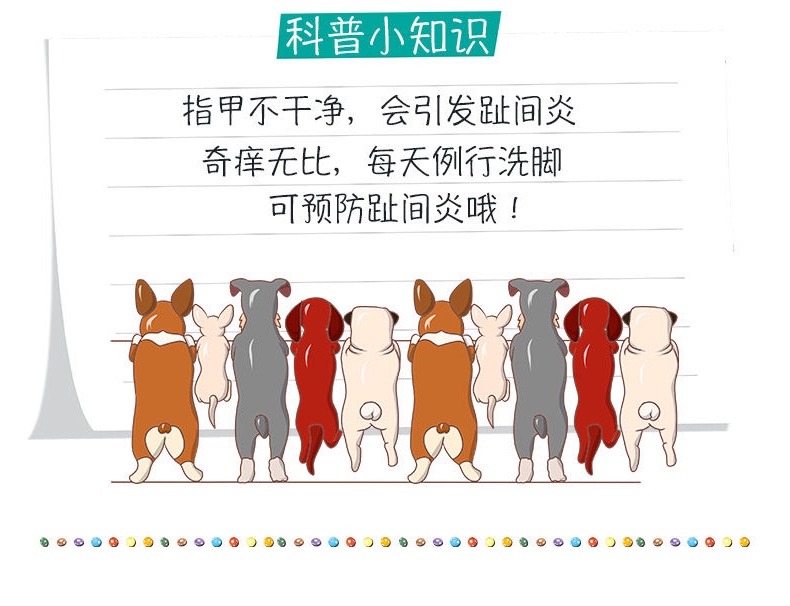 Dog automatic foot-washing cup, no-scratch pet paw and foot washing wonder, foot-cleaning cup, Teddy cat electric paw washer Application Scenario