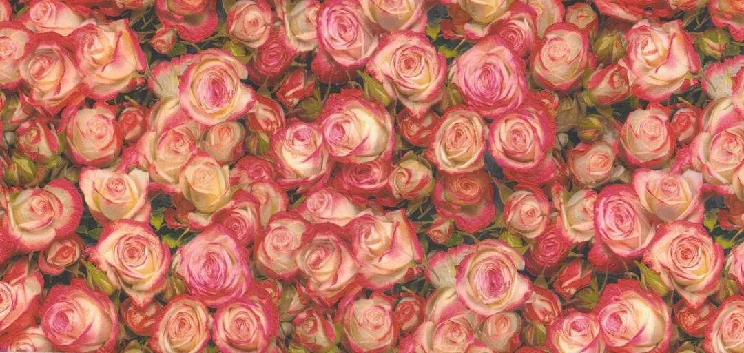 蓝色情人4现代简约轻奢窗帘高精密提花橙色拼接高档客厅卧室遮光产品图