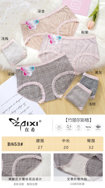 Modale briefs female summer thin breathable mid-waist Japanese girl Bamboo lier color check briefs seamless 853
