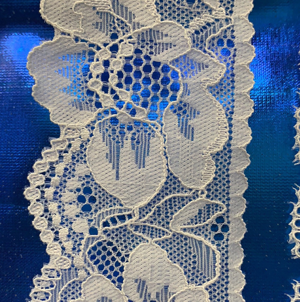 Wholesale of lace and elastic lace clothing