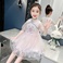 儿童裙子中国风纱裙刺绣中童3-7岁爆版细节图