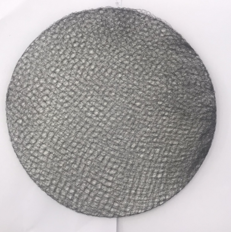 Hidden hairnet