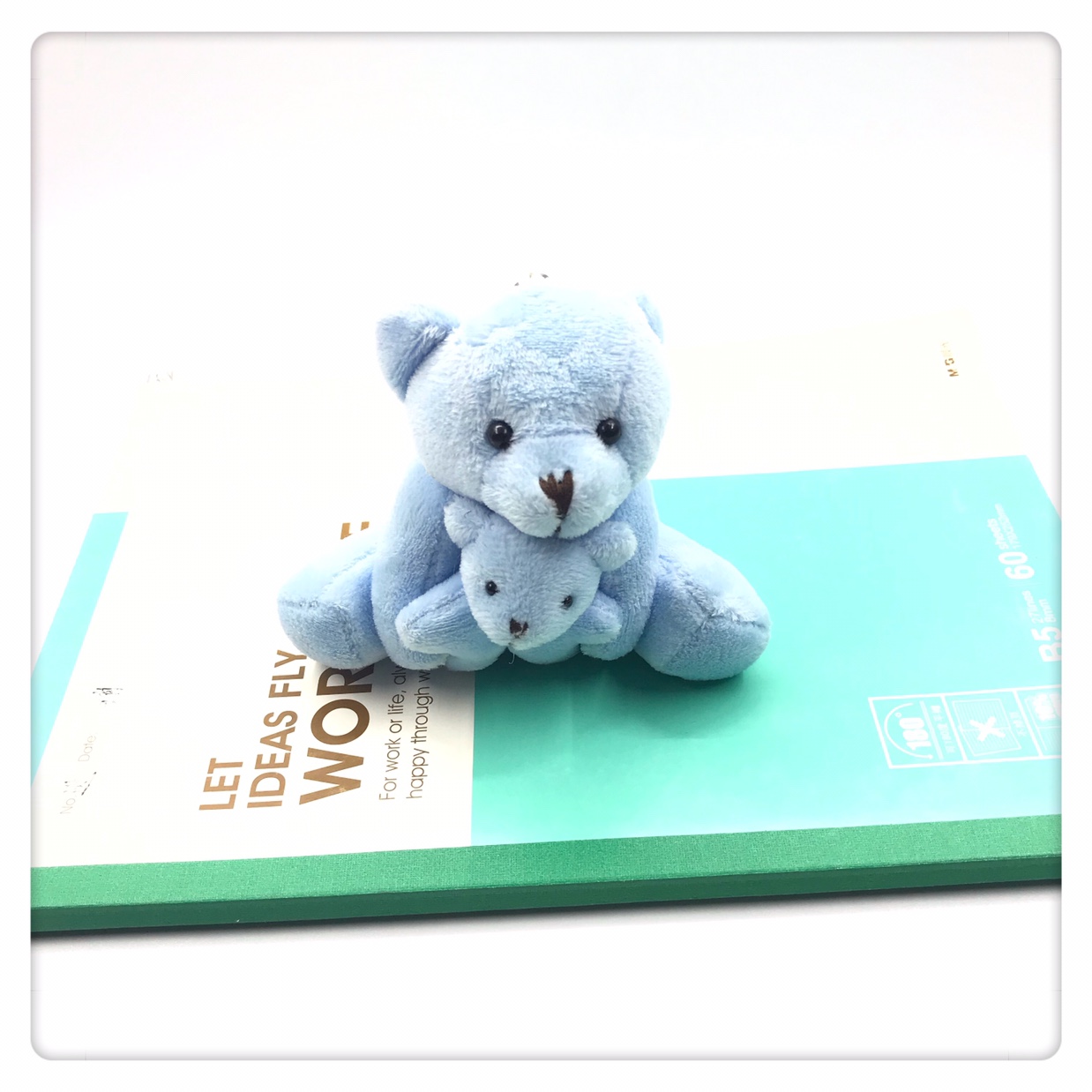 Creative plush toys, dolls, mother and child bears, keychains, bags, clothing pendants, Mother's Day gifts, gift boxes, packaging, bouquets, accessories, all at favorable prices Application Scenario