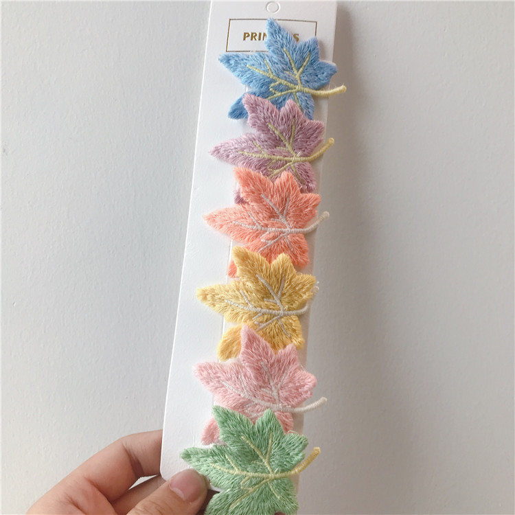 Colorful maple leaves details Picture