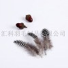 Natural Pearl Large Feather Stage Clothing Accessories Diy Craft Jewelry Feather Decoration Manufacturers Wholesale
