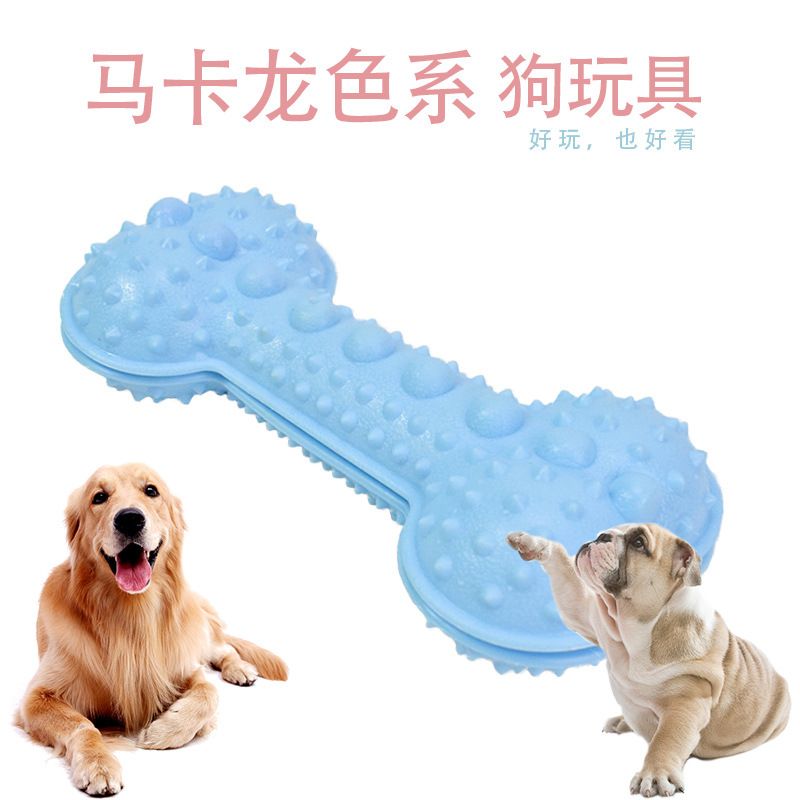 厂家直销宠物玩具 马卡龙TPR耐咬骨头带刺漏食骨 狗狗磨牙漏食骨