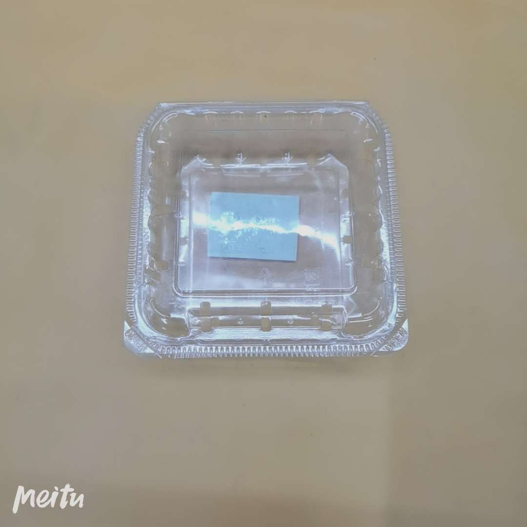 厂家一次性篮梅盒白底实物图