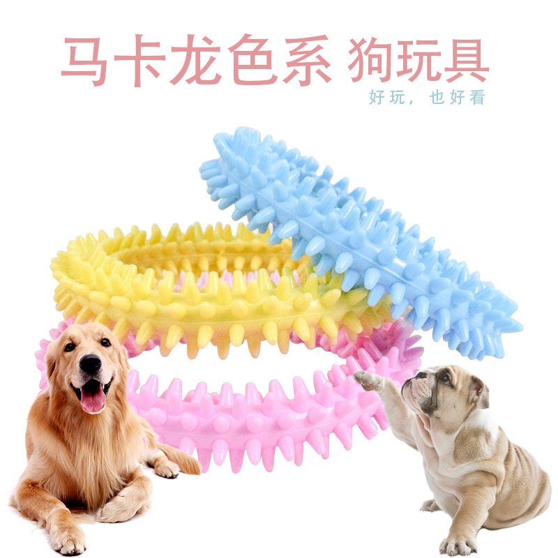 厂家直销宠物玩具 TPR磨牙刺环玩具 马卡龙TPR刺圈狗玩具