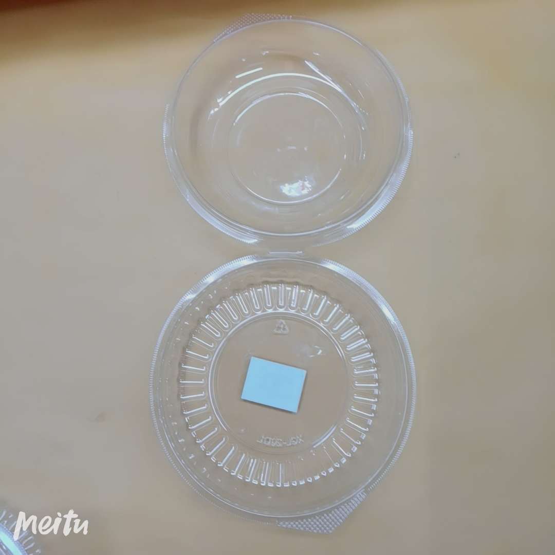 一次性碗、碟、盘实物图