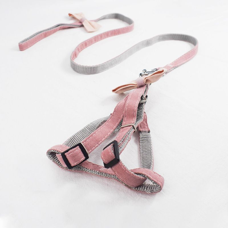 Factory direct sales of pet products: Bow, adjustable shoulder strap, leash, Korean version nylon webbing, dog leash, dog chain