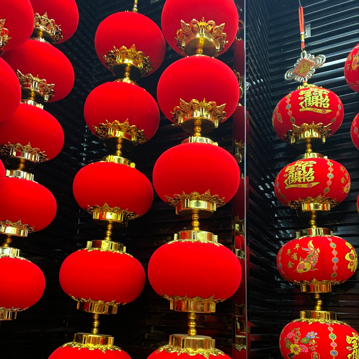 16cm全红5连灯图