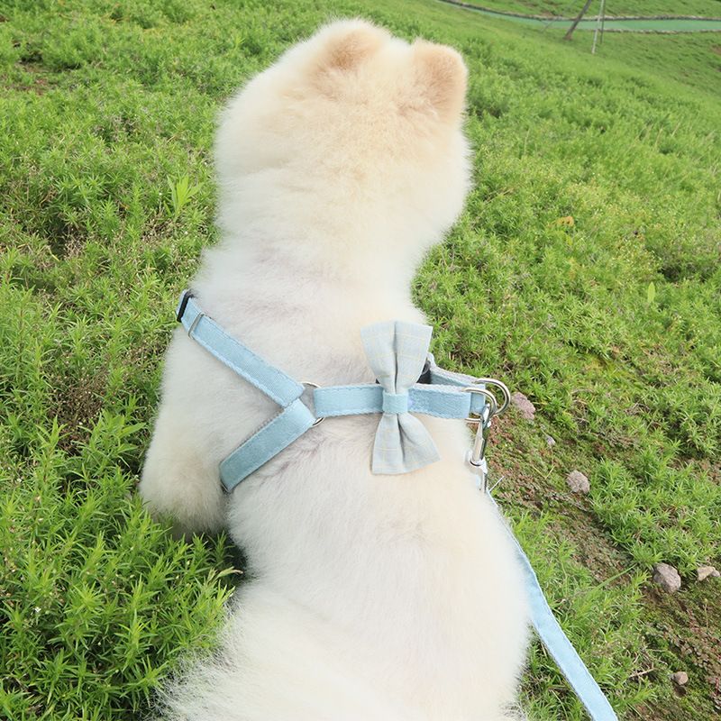 Factory direct sales of pet products: Bow, adjustable shoulder strap, leash, Korean version nylon webbing, dog leash, dog chain details Picture