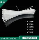 环保自锁式塑料尼龙扎带 厂家直销可定制白色捆绑扎带 束线带批发