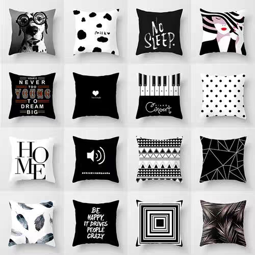 Black And White Series Throw Pillows