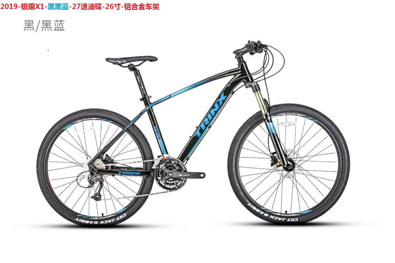 Trinidad Bicycle X1 detail image 1