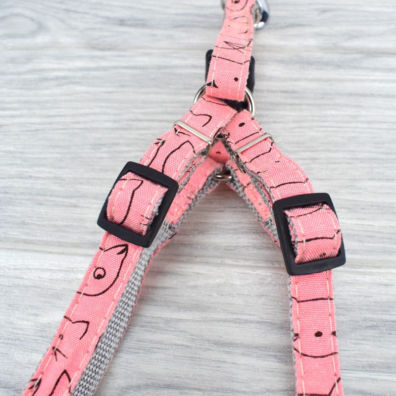 New pet leash, nylon printed chest and shoulder strap, dog leash, leash, dog chest and shoulder strap wholesale manufacturer Application Scenario