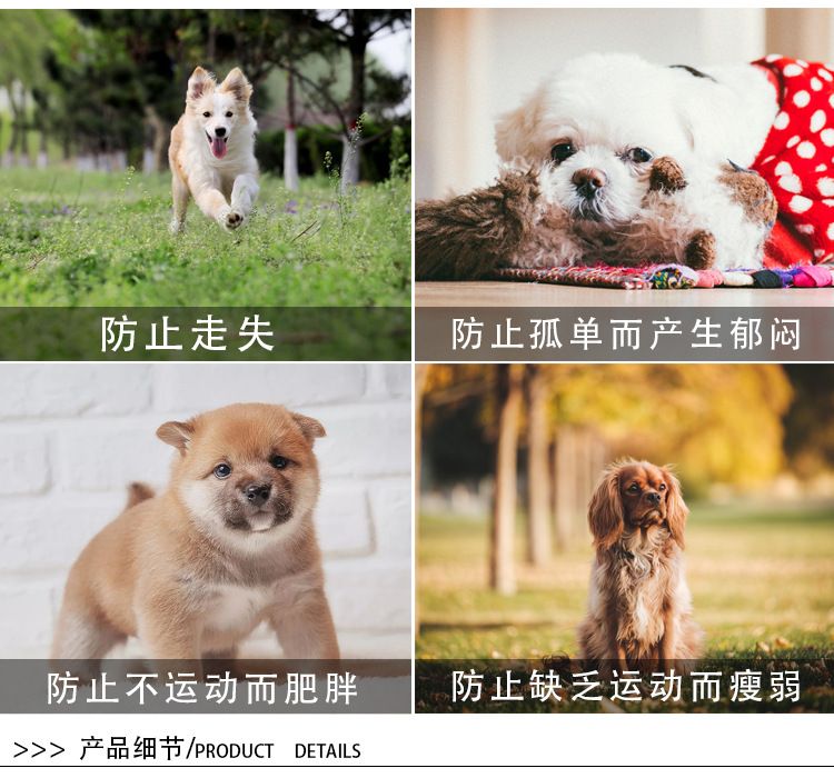 New pet leash, nylon printed chest and shoulder strap, dog leash, leash, dog chest and shoulder strap wholesale manufacturer detail image 5