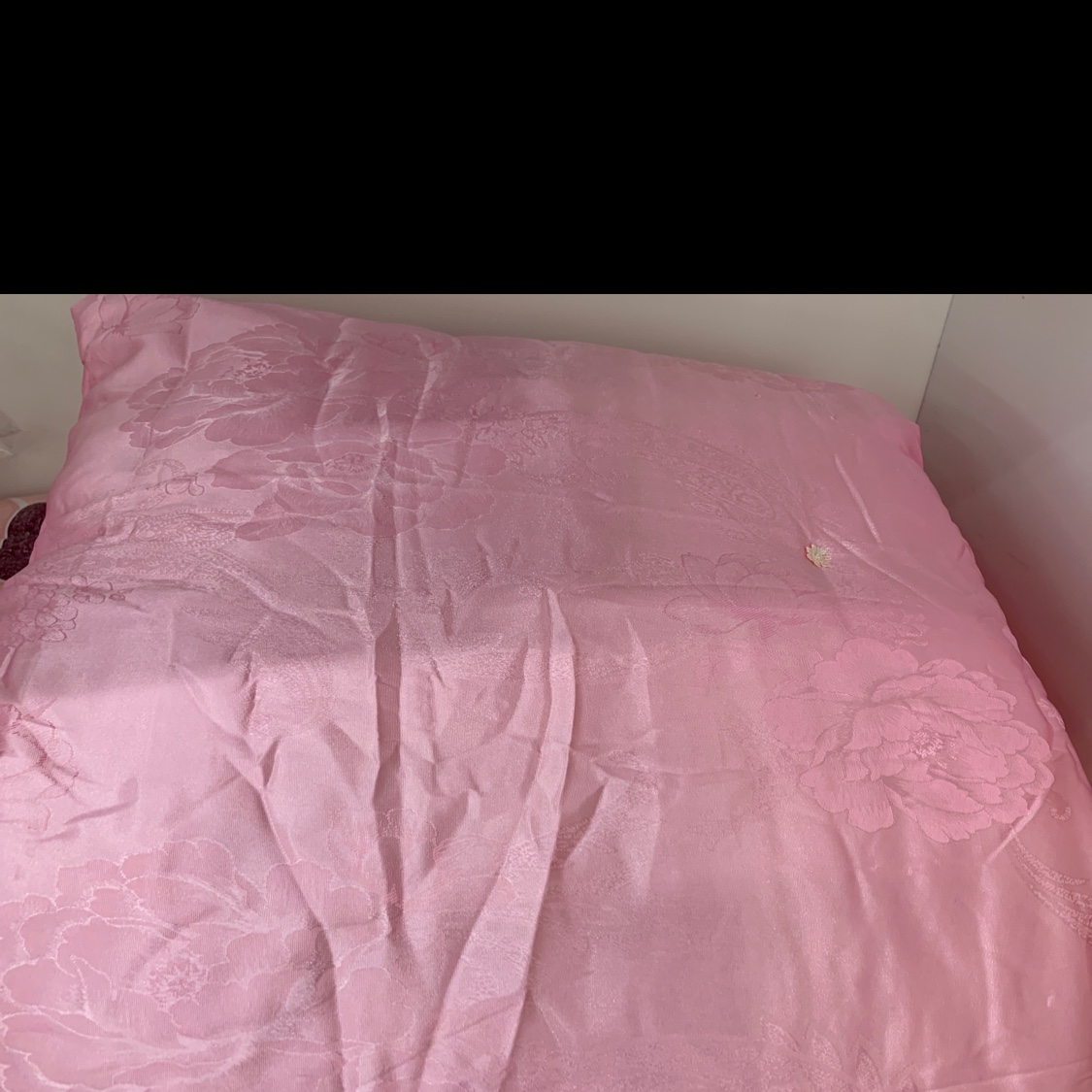 Five pounds of silk quilt