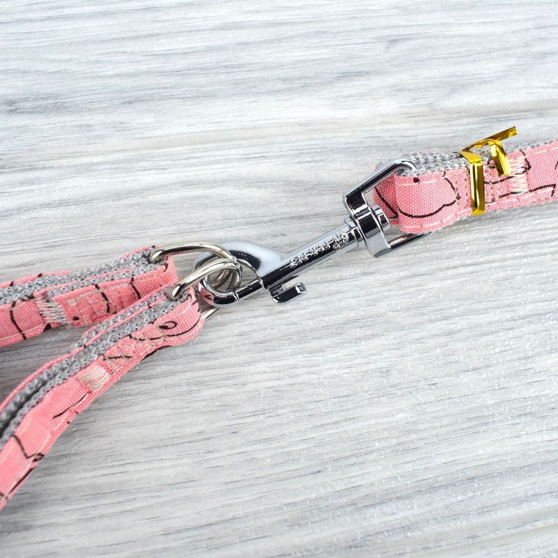 New pet leash, nylon printed chest and shoulder strap, dog leash, leash, dog chest and shoulder strap wholesale manufacturer Specification image