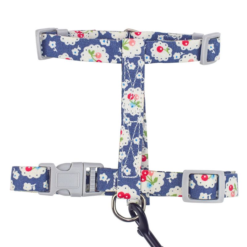 猫猫牵引实物图