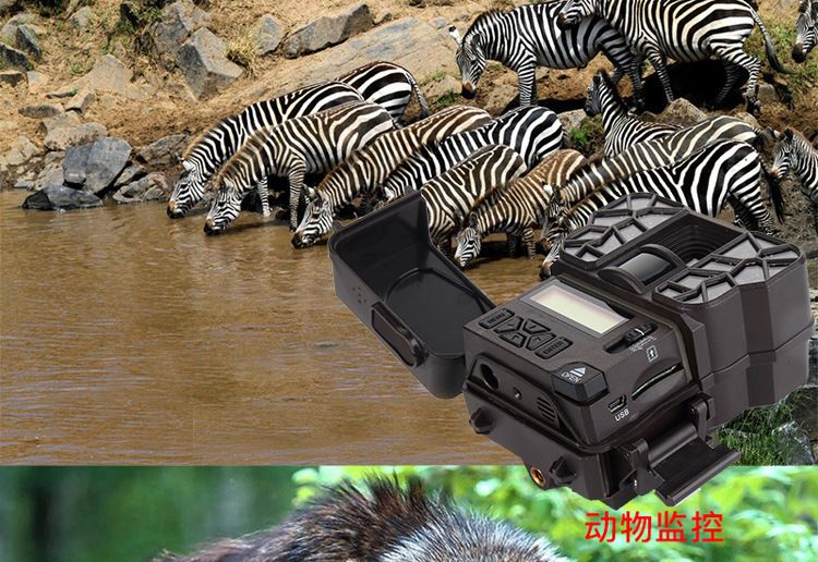 ZIYOUHU迷你版探测相机 0.7秒触发红外相机森林红外线感应摄像机详情图9
