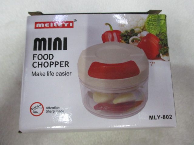 Garlic Blender Mini Blender details Picture