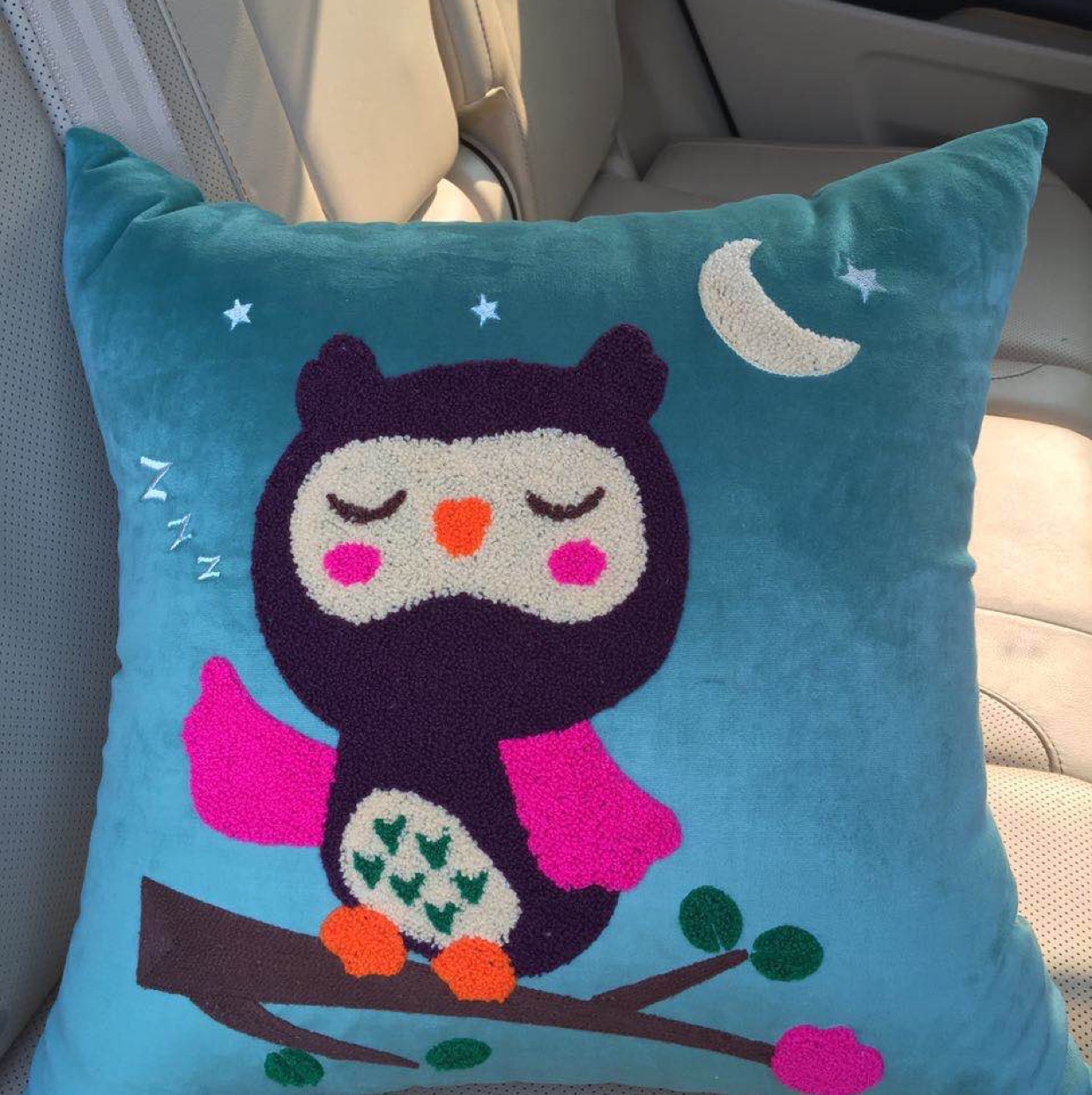 New Explosive Manufacturers Direct Sales Super Soft Towel Flower Throw Pillow Pillow details Picture