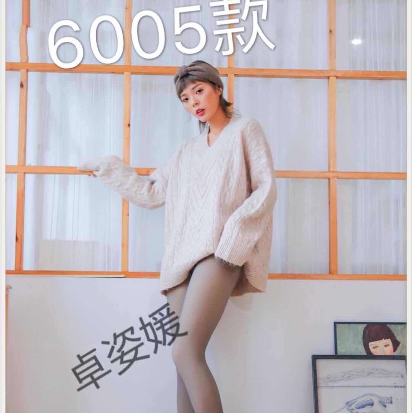 Model 6005 details Picture