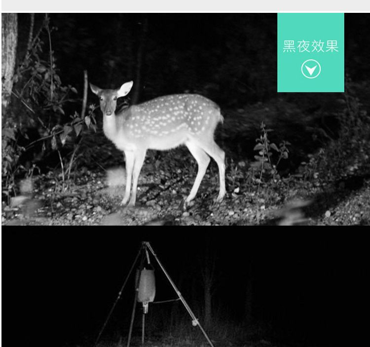 ZIYOUHU迷你版探测相机 0.7秒触发红外相机森林红外线感应摄像机详情图4