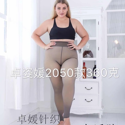 2050 Model