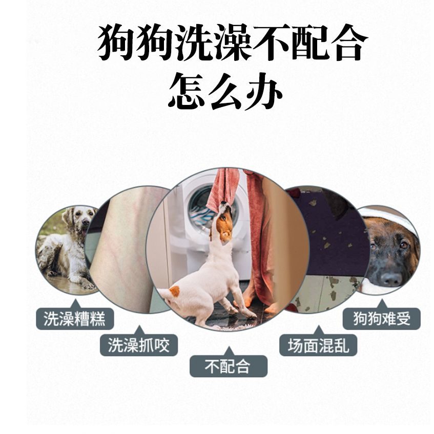 宠物洗澡刷 按摩刷 狗狗清洁用品洗澡按摩刷两用型 宠物清洁刷详情图2