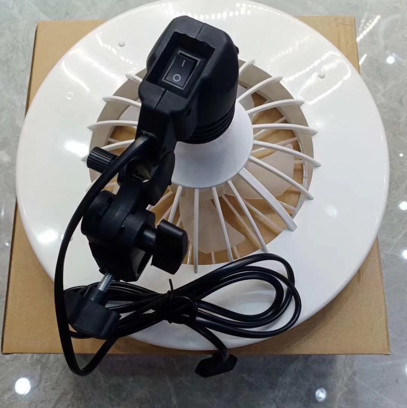 Good-Looking Live Light Specification drawing