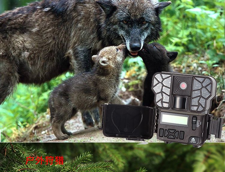 ZIYOUHU迷你版探测相机 0.7秒触发红外相机森林红外线感应摄像机详情图5