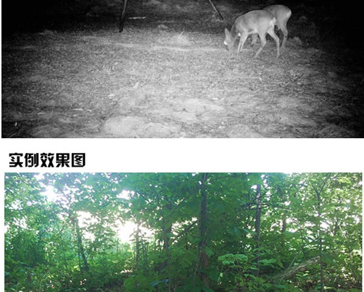 ZIYOUHU迷你版探测相机 0.7秒触发红外相机森林红外线感应摄像机详情图14
