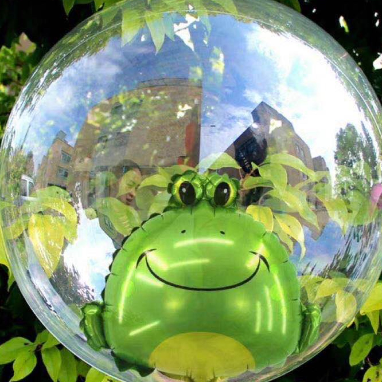 动物波波气球动物印花充气玩具馨馨气球01图