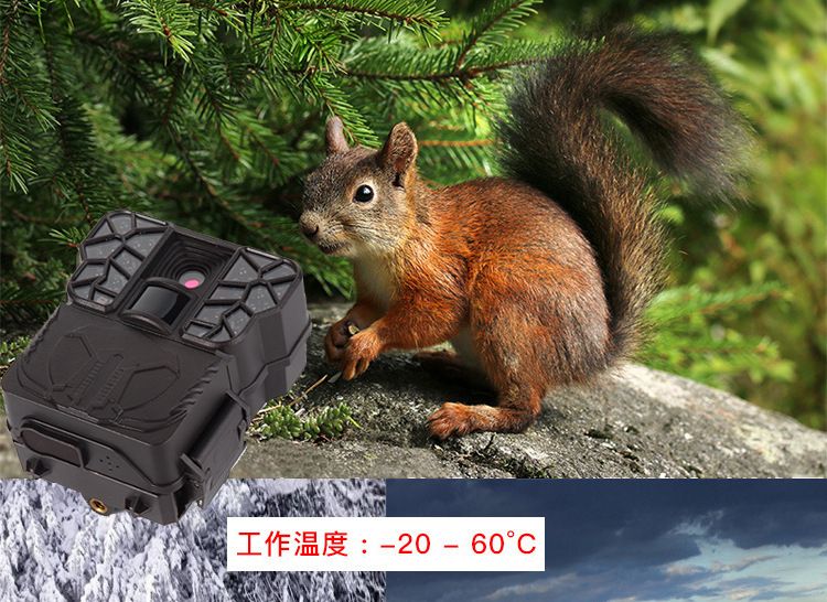 ZIYOUHU迷你版探测相机 0.7秒触发红外相机森林红外线感应摄像机详情图6