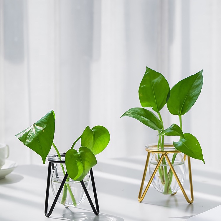 Wrought Iron Glass Hydroponics