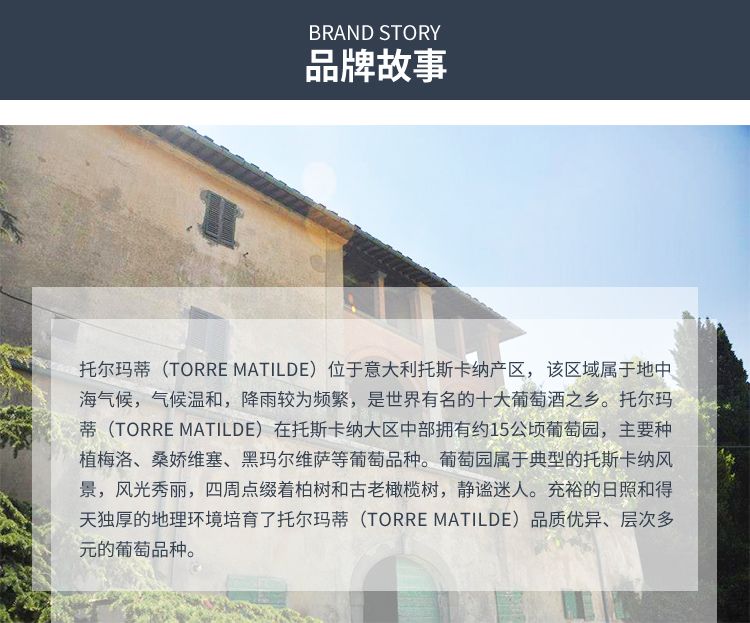 TORRE MATILDE托尔玛蒂 意大利原装进口 1369梅洛干红葡萄酒详情图5