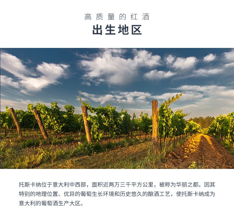 TORRE MATILDE托尔玛蒂 意大利原装进口 月亮桑娇维塞 干红葡萄酒详情图4