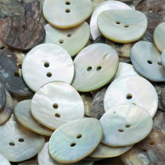 贝壳纽扣