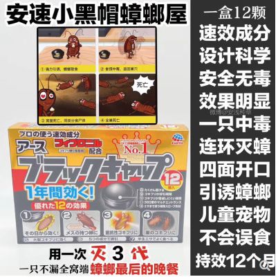 安速小黑帽蟑螂屋详情图2