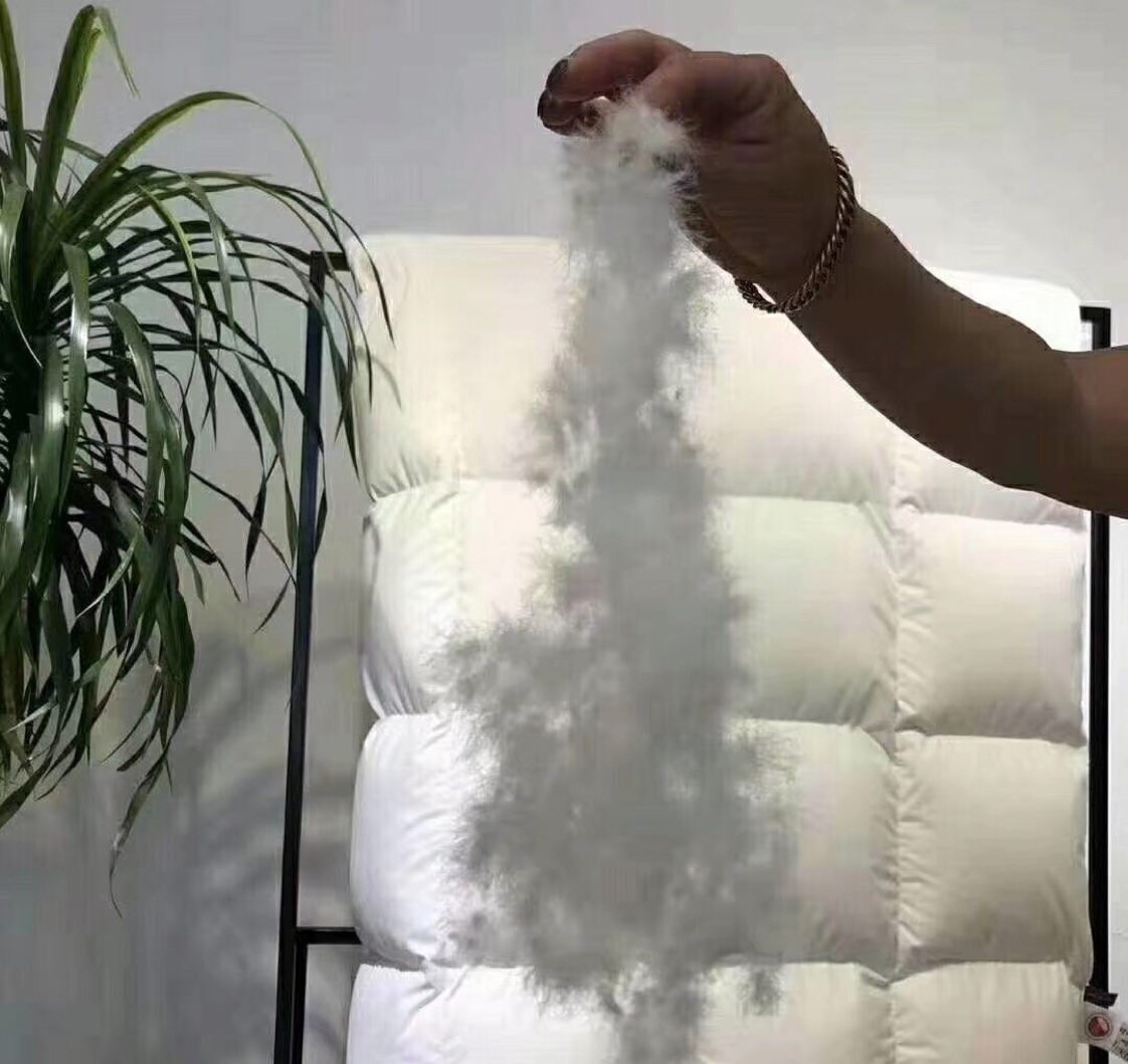 羽绒被95白鹅绒酒店秋冬被子被芯双人冬季被加厚保暖天丝棉鹅绒被白底实物图