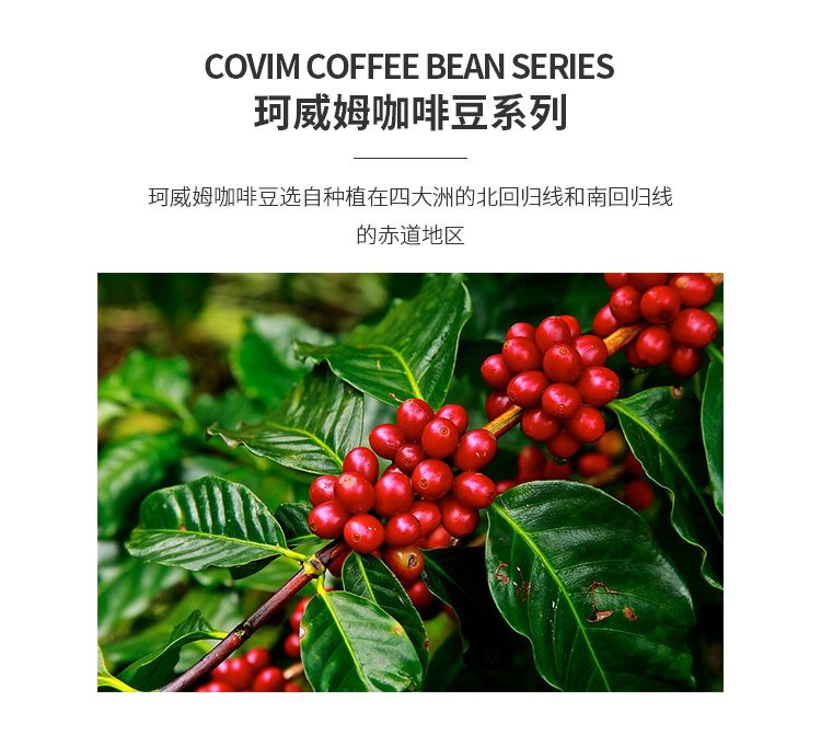Covim珂威姆 意大利原装进口玉种咖啡豆 中度烘焙 可磨咖啡粉 1kg详情图2
