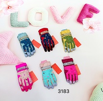 Ski gloves