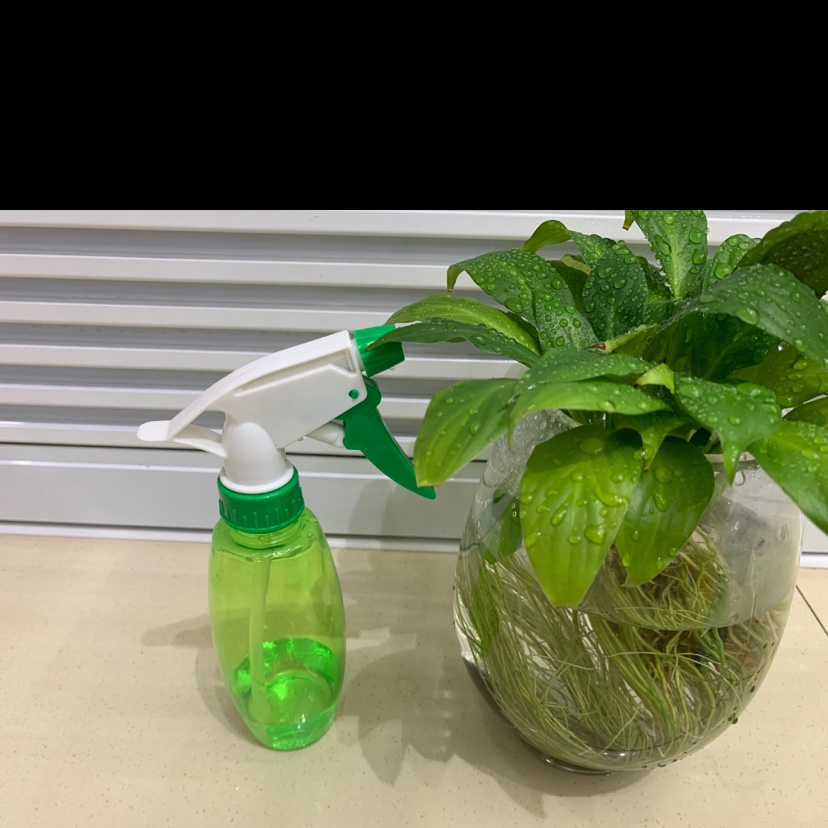 200ml园艺喷壶绿色