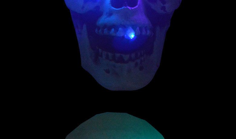 Halloween Bar Haunted House Secret Room Escape Horror Arrangement Eyes With Lights Glowing Eyes Bloodshot Skull Skulls undefined