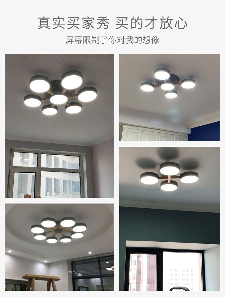Nordic bedroom ceiling lamps, simple and modern small-sized living room and dining room lamps, Japanese grand and personalized room lighting fixtures detail image 3