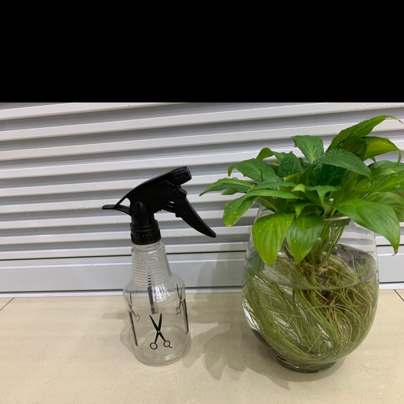 380ml剪刀喷壶，园艺喷壶