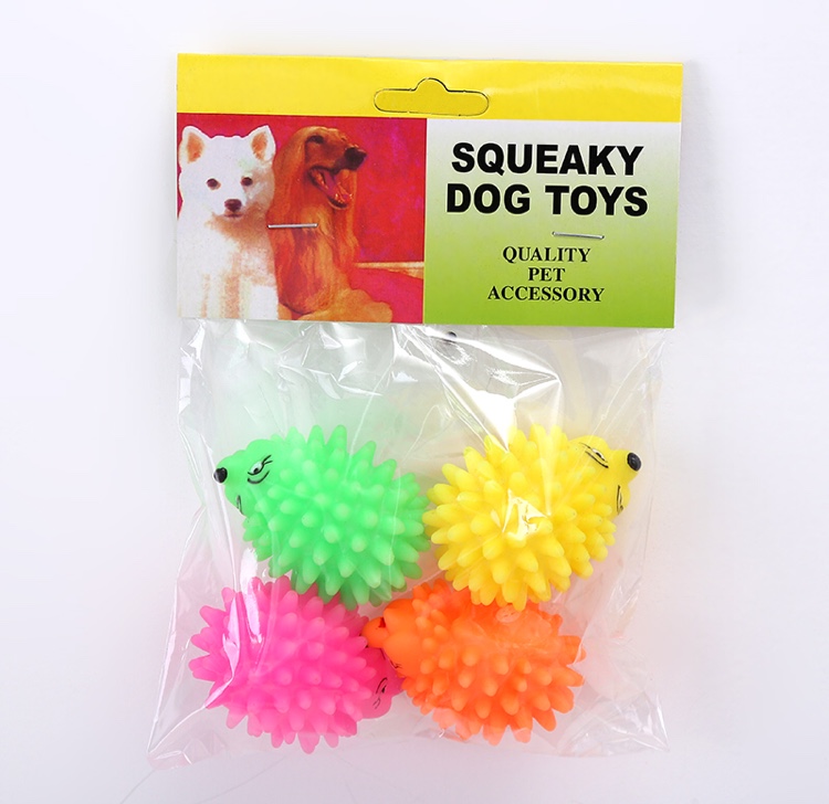 Pet toys grind teeth to train hedgehogs